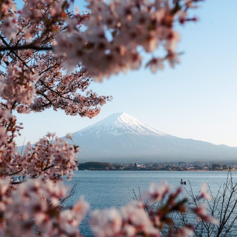 Kirschblüten und der Fuji als ruhiges japanisches Landschaftsmotiv